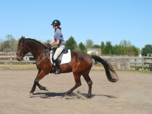 Canter April 2012