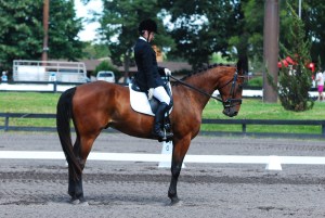 VASummerDressage_4576