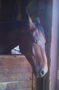 IMG_20130613_135502_294