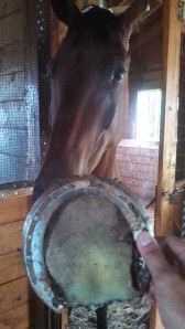 Oh, thanks for finding my shoe.  I don't know how I parted ways with it.