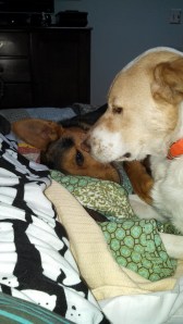 My two nurses made sure I was well cared for when I made it home.