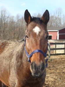 Cigar's natural state of filth.