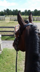 Ike at the end of September 2014