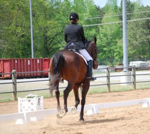 My best view while riding.