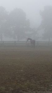 "I will say my goodbyes from over here."