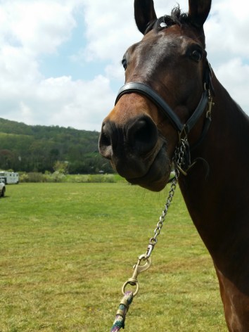 Ike Morningside April 2016.jpg