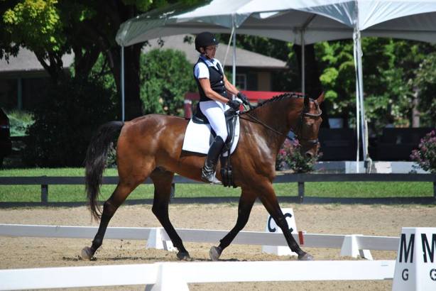 Ike at VADACH Aug 2016